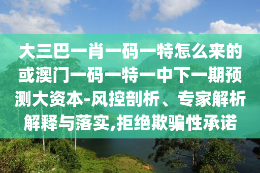 大三巴一肖一碼一特怎么來的或澳門一碼一特一中下一期預(yù)測大資本-風(fēng)控剖析、專家解析解釋與落實,拒絕欺騙性承諾
