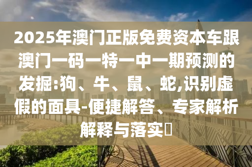 2025年澳門正版免費資本車跟澳門一碼一特一中一期預測的發(fā)掘:狗、牛、鼠、蛇,識別虛假的面具-便捷解答、專家解析解釋與落實?