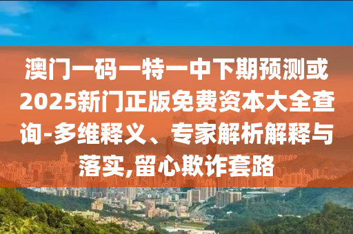 澳門一碼一特一中下期預(yù)測(cè)或2025新門正版免費(fèi)資本大全查詢-多維釋義、專家解析解釋與落實(shí),留心欺詐套路